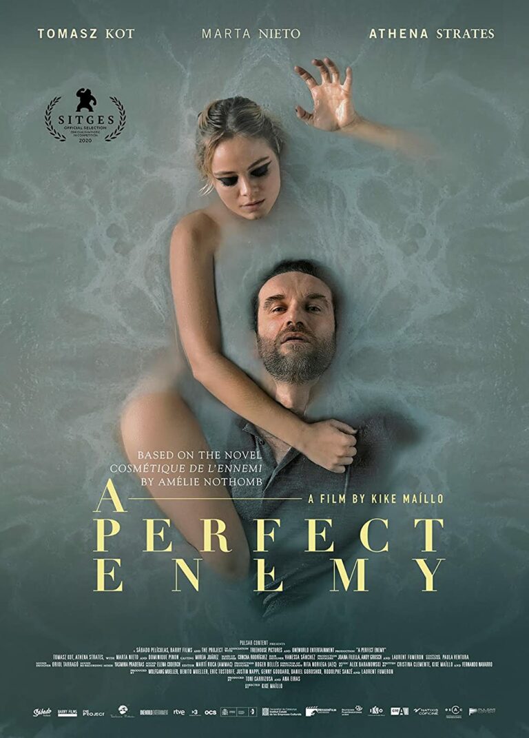 A Perfect Enemy Hollywood Movie