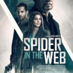 Spider In Web 2019